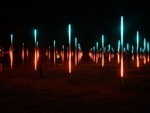 Potsdamer Schlössernacht Lichtfeld